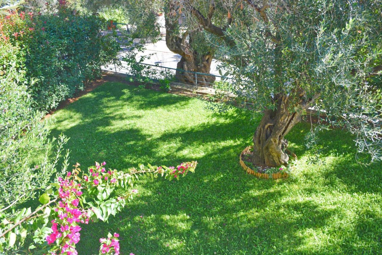 Apartmán Pebbles And Sea At Barbati With Shared Pool Exteriér fotografie